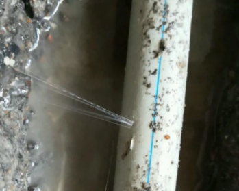 福鼎卫生间测漏水多少钱